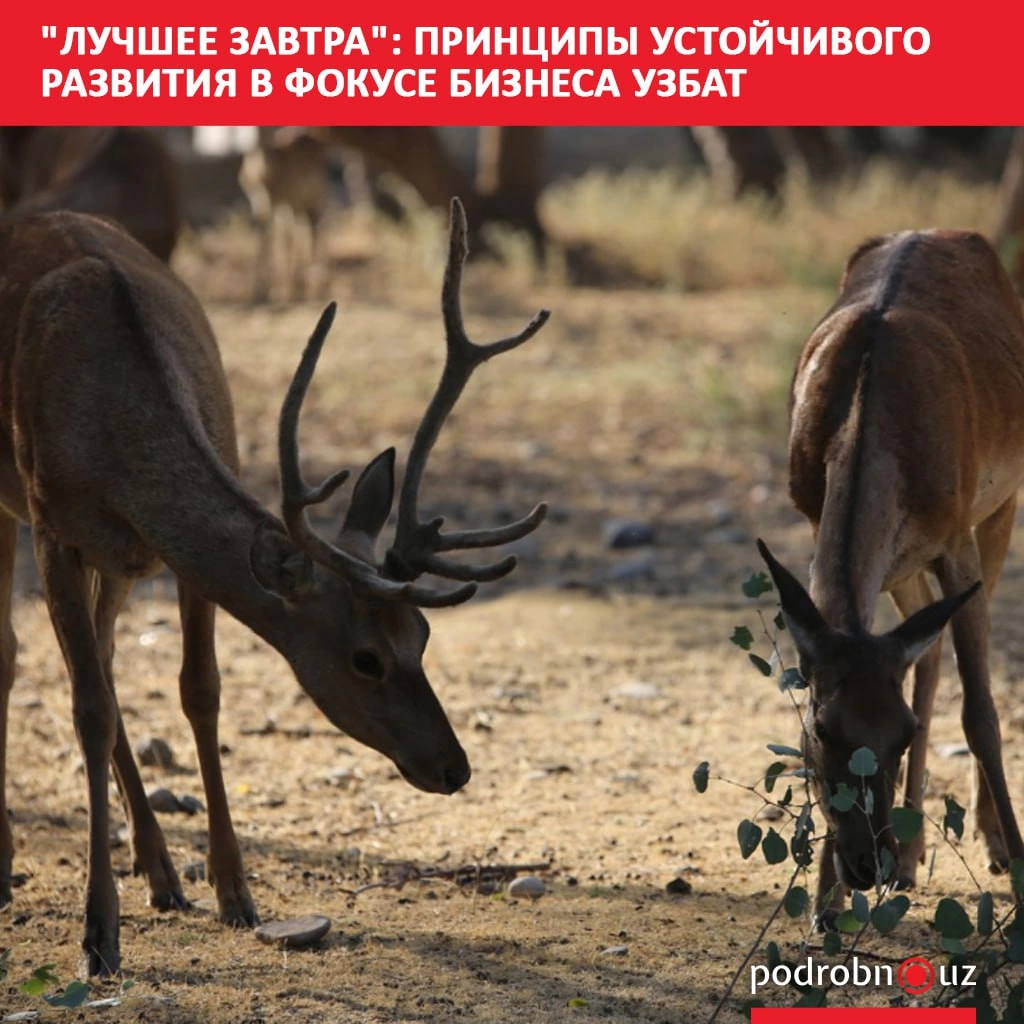 "Лучшее завтра": принципы устойчивого развития в фокусе бизнеса УЗБАТ